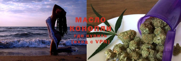 мдпв Богородицк