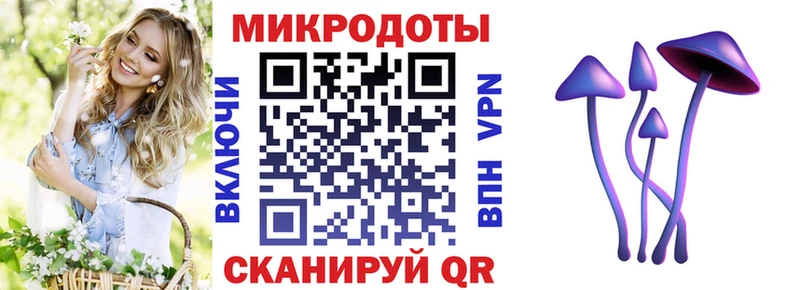 Псилоцибиновые грибы Cubensis  продажа наркотиков  Северская 